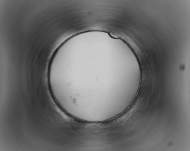 X0000101440902200808041212