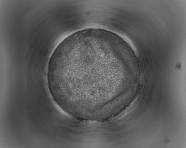 X0000101440903200808041212