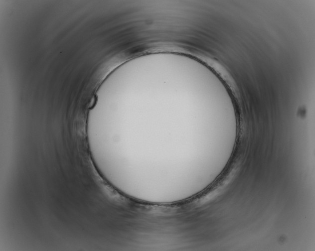 X0000101440905200808041212