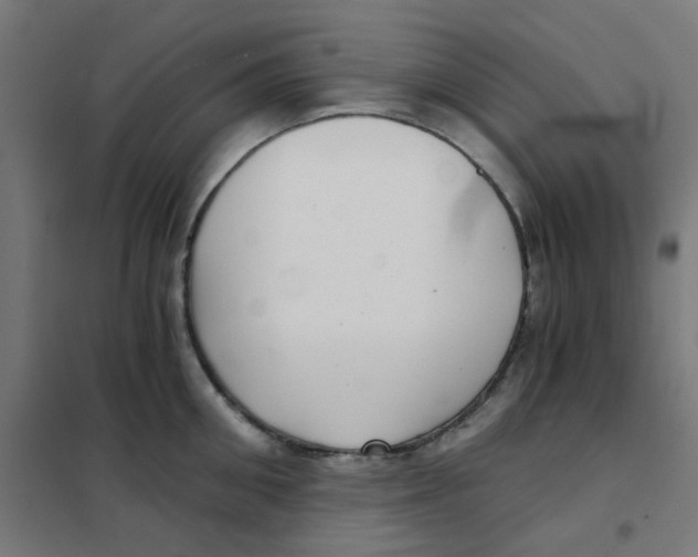 X0000101440906200808041212
