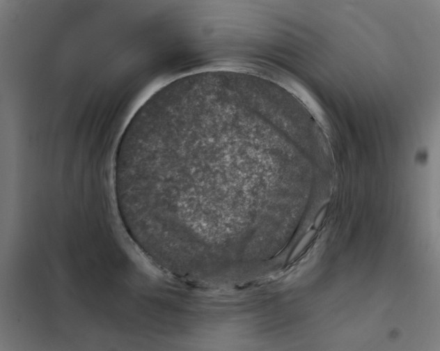 X0000101440907200808041212