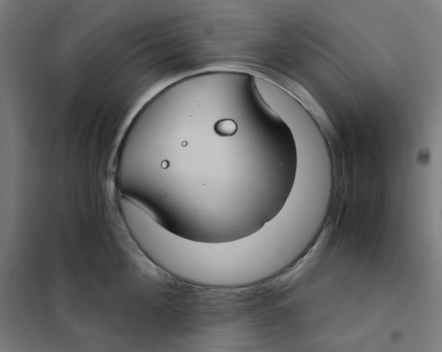 X0000101440908200808041212