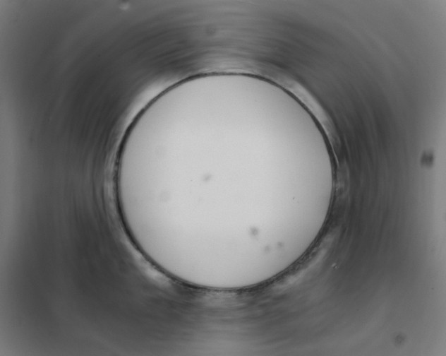 X0000101440909200808041212