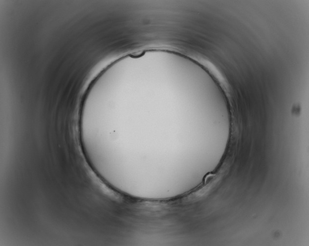 X0000101440910200808041212