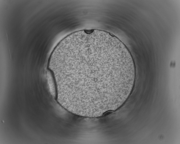 X0000101440912200808041212