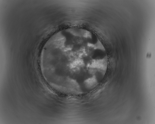 X0000101440913200808041211