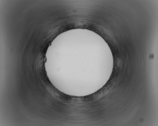 X0000101440914200808041211