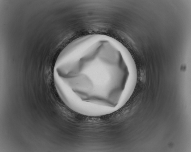 X0000101440915200808041211