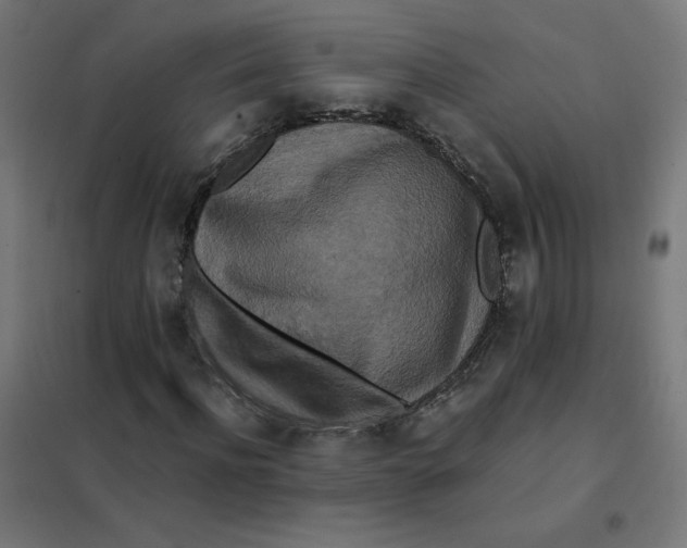 X0000101440916200808041211