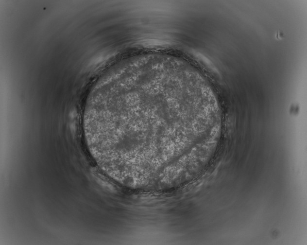 X0000101440917200808041211