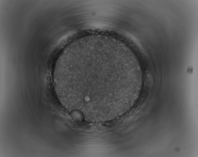 X0000101440918200808041211