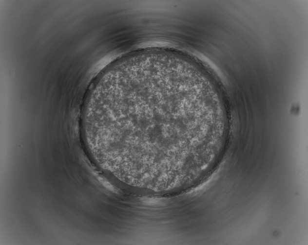 X0000101440921200808041211