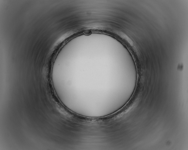 X0000101440922200808041211