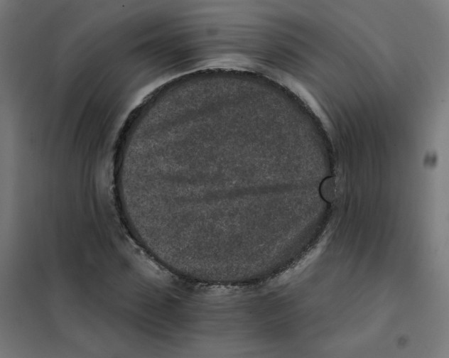 X0000101440923200808041211