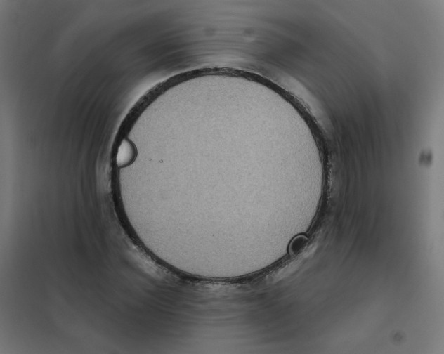X0000101440924200808041211