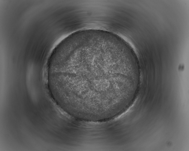 X0000101440925200808041211