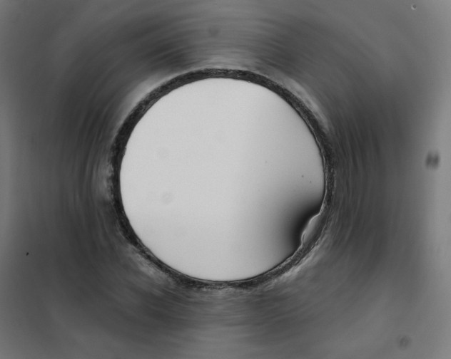 X0000101440926200808041211