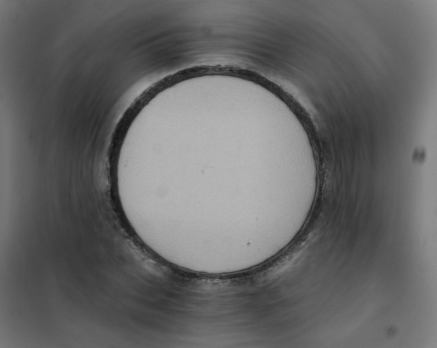 X0000101440927200808041211