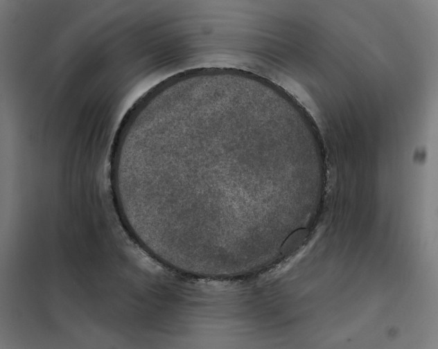 X0000101440928200808041211