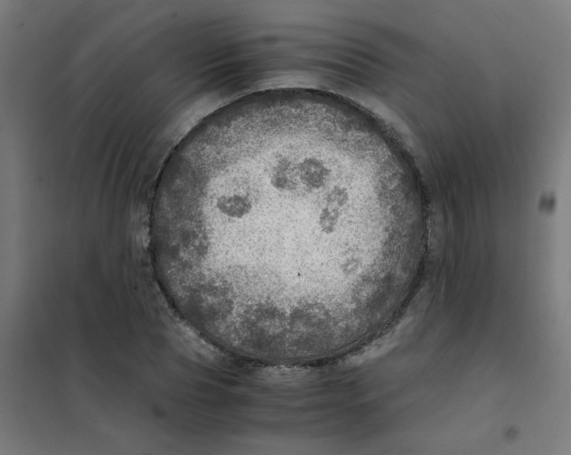 X0000101440929200808041211