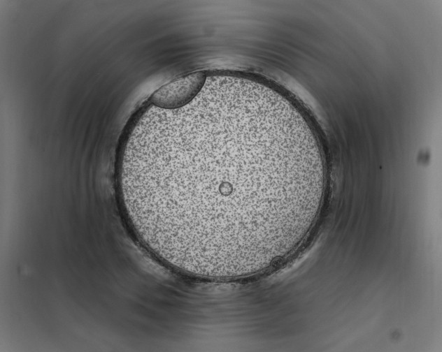 X0000101440930200808041211