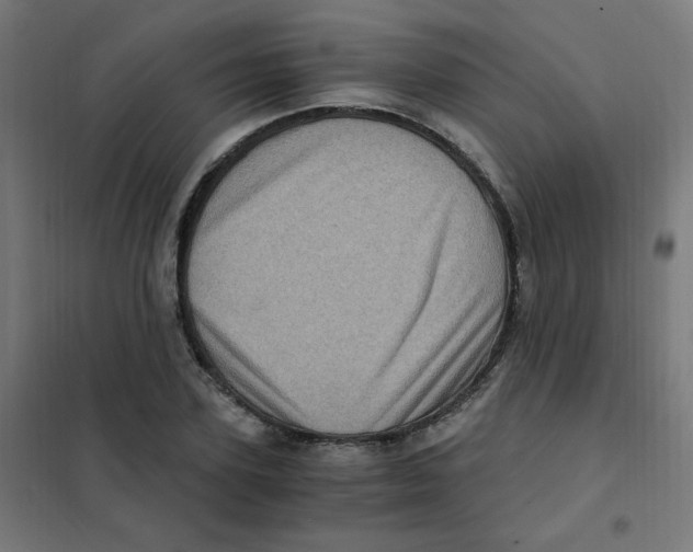 X0000101440931200808041211