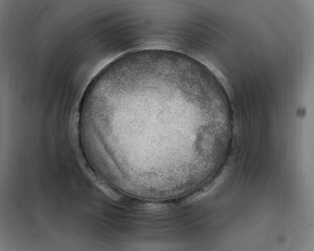 X0000101440933200808041211