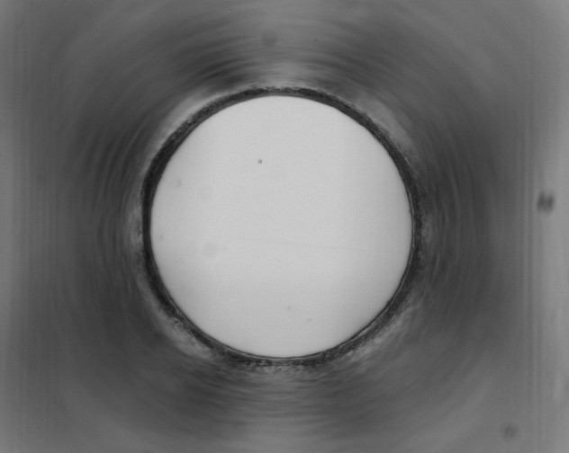 X0000101440934200808041211