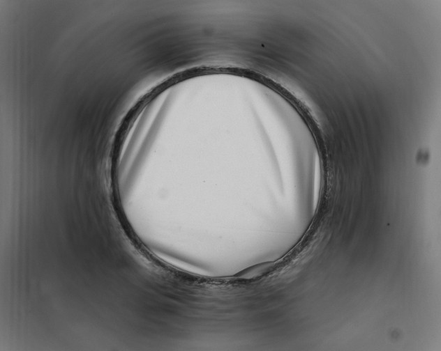X0000101440935200808041211