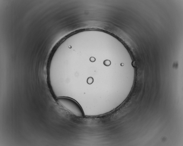 X0000101440936200808041211