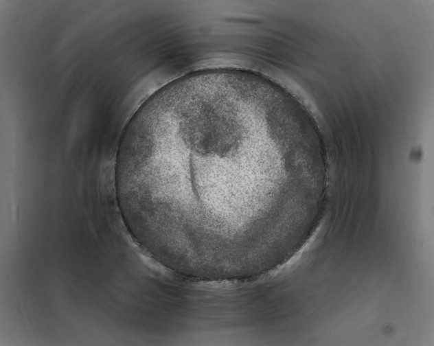 X0000101440937200808041211