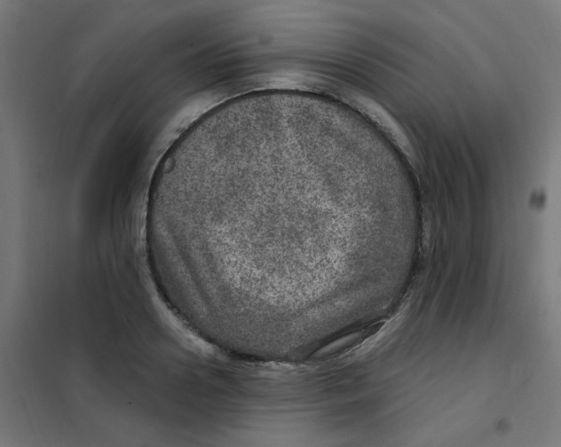 X0000101440938200808041211