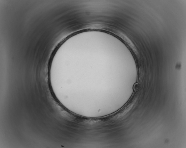 X0000101440939200808041211