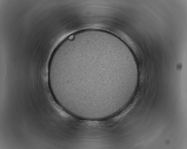 X0000101440940200808041211