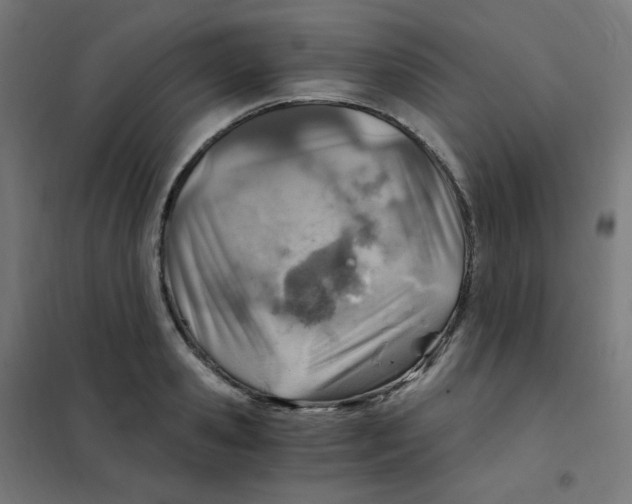 X0000101440941200808041211
