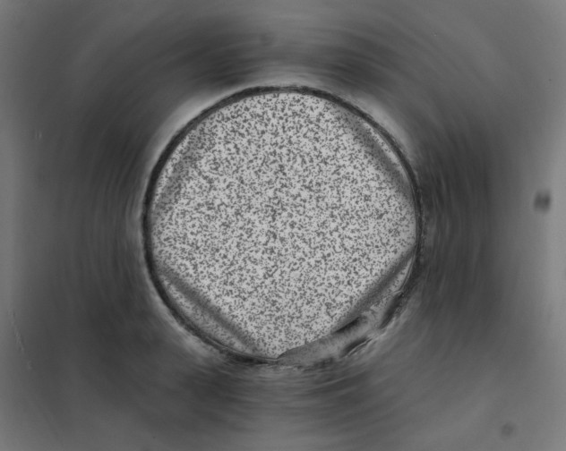 X0000101440943200808041211