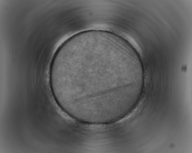 X0000101440944200808041211