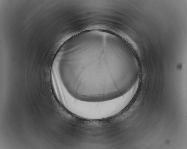 X0000101440945200808041211