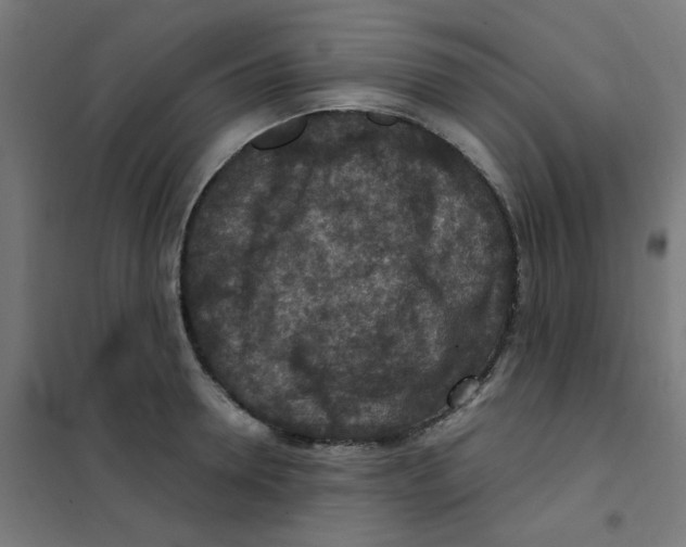 X0000101440946200808041211