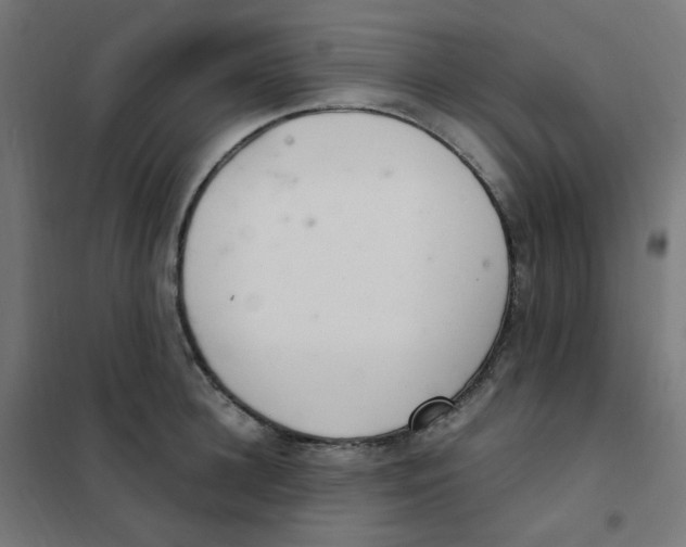 X0000101440948200808041211