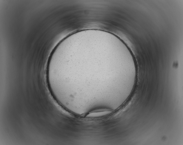 X0000101440949200808041211