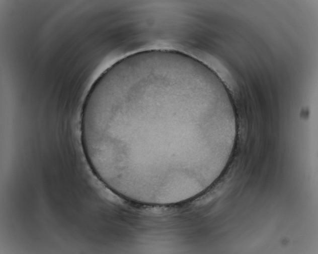 X0000101440950200808041211