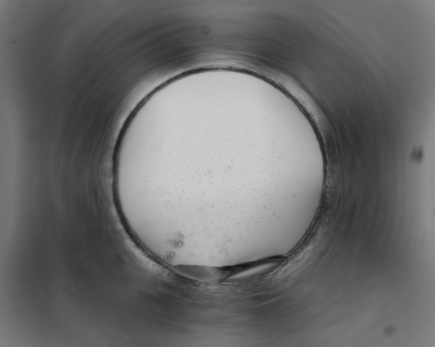 X0000101440951200808041212
