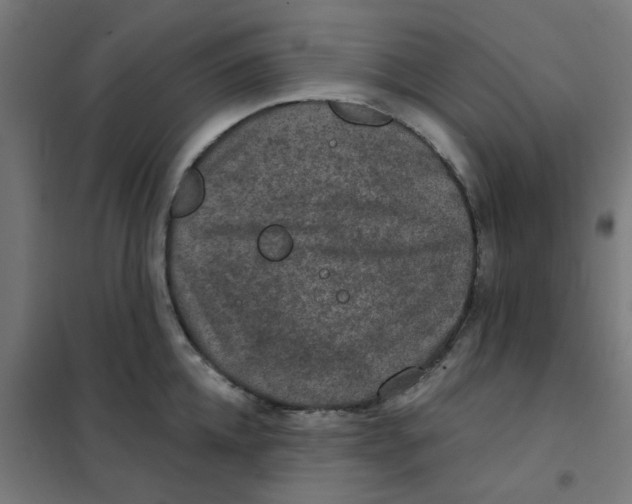 X0000101440952200808041212