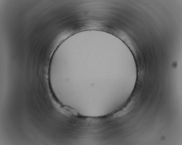 X0000101440954200808041212