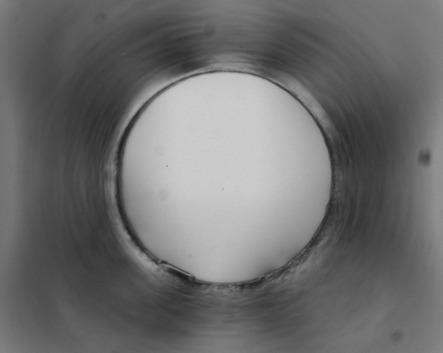 X0000101440955200808041212