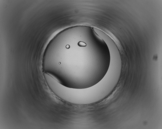 X0000101440956200808041212