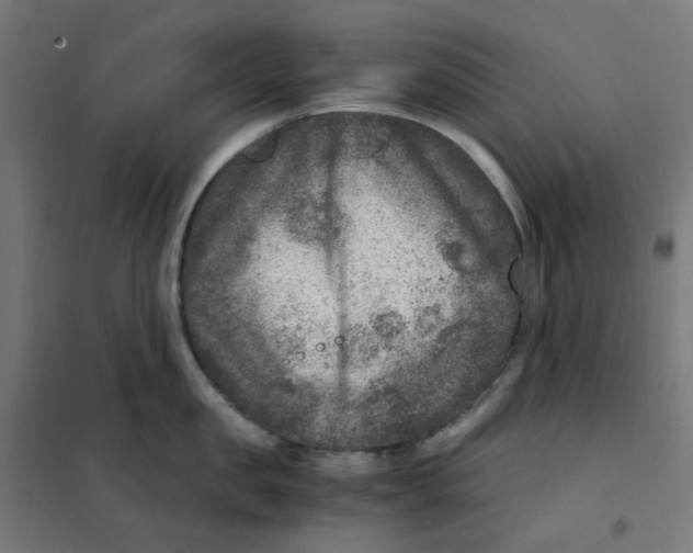 X0000101440957200808041212