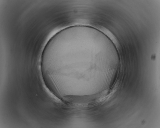 X0000101440958200808041212