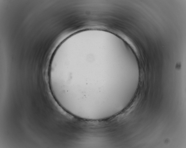 X0000101440959200808041212
